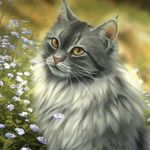 How much do you really know about warrior cats? (1) How much do you really know about warrior cats? (1)