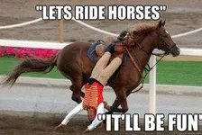 how well do you know about horses? how well do you know about horses?