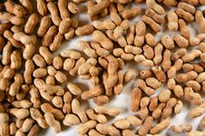 Do you have the peanut to beat this quiz? Do you have the peanut to beat this quiz?