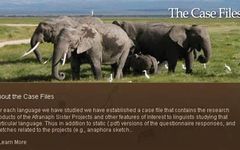Lionology Quiz Lionology Quiz
