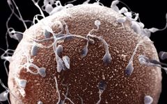 Which global pandemic would you have survived? Which global pandemic would you have survived?