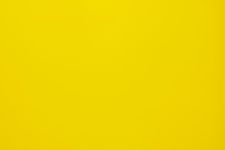Which Yellow Color Are You? Which Yellow Color Are You?
