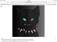 Warrior cat your name Warrior cat your name