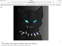 Warrior cat your name Warrior cat your name