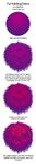 Which shade of purple are you? Which shade of purple are you?