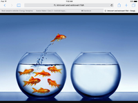 Are you an introvert extrovert or both? Are you an introvert extrovert or both?