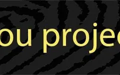 realyoutest realyoutest