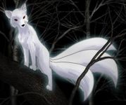 What Breed of Kitsune are you What Breed of Kitsune are you