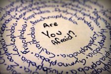 Phobia Test Phobia Test