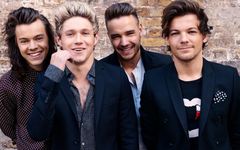 How much of a 1D fan are you? How much of a 1D fan are you?