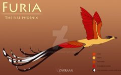 Which Phoenix Personality Are You? (1) Which Phoenix Personality Are You? (1)