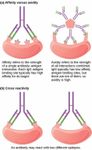 Challenging Immunology Quiz Challenging Immunology Quiz