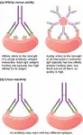 Challenging Immunology Quiz