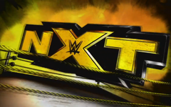 What WWE wrestler are you? What WWE wrestler are you?