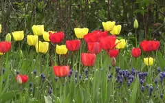 Take this colour testand I'll tell how your summer would be Take this colour testand I'll tell how your summer would be