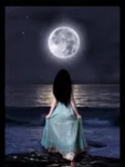 What Character You From My Book? What Character You From My Book?