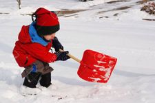 How likely are you to get beat up with a shovel? How likely are you to get beat up with a shovel?