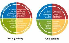 Psychological Preferences Personality Quiz Psychological Preferences Personality Quiz
