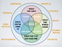 What's Your Lifestyle Type? What's Your Lifestyle Type?