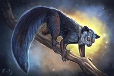 Find Your Endangered Spirit Find Your Endangered Spirit