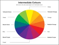 The Secondary Colors Quiz The Secondary Colors Quiz
