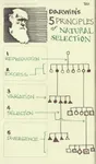 Biology Basics Biology Basics