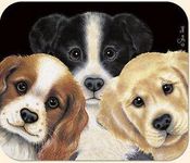 What is your puppy breed? What is your puppy breed?