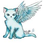 What would be your kitty nickname What would be your kitty nickname