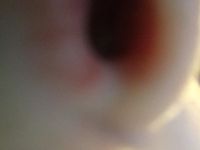 What is the display picture of this quiz? What is the display picture of this quiz?
