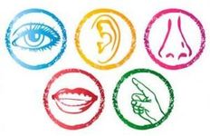 Which sense are you? Which sense are you?