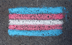 Is u trans? Is u trans?