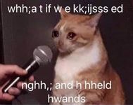 how tender are you? how tender are you?