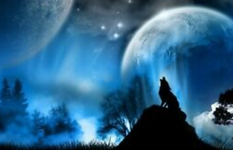 What is your wolf name? (2) What is your wolf name? (2)