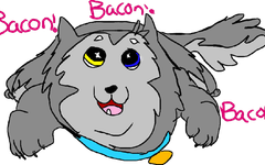 Which Wolfie form are you? Which Wolfie form are you?