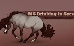 What's Your Horse Personality? What's Your Horse Personality?