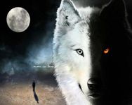 Wolves of Twilight Wolves of Twilight