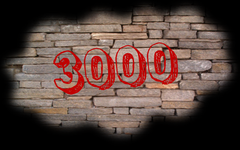 Surviving 3000 Surviving 3000