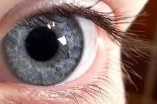 Capture Capture