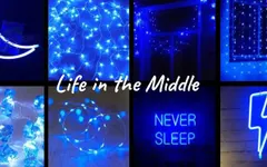 Life in the Middle Life in the Middle