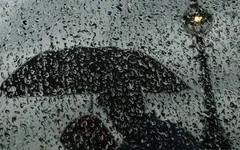 Standing In The Rain Standing In The Rain