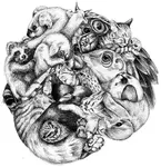 The Hybrids The Hybrids