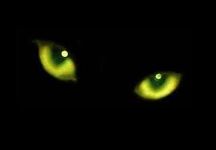 Ghost Stories Ghost Stories