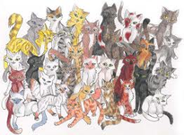 What warrior cat are you? (Made-up cats) What warrior cat are you? (Made-up cats)