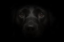 Hidden Secrets Book One Hidden Secrets Book One