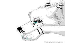 spirit of the wolves spirit of the wolves