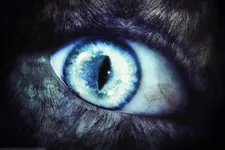 Awakening the wolf Awakening the wolf