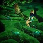 Maze In wonderland Maze In wonderland