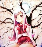 Turning into a neko Turning into a neko