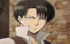 Levi x Reader Levi x Reader