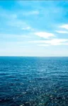 Salt Water Salt Water
